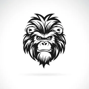 Vector of a baboon head design on white background. Easy editable layered v.. Stock Illustration