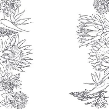 Vector  background with African flowers Stock Illustration