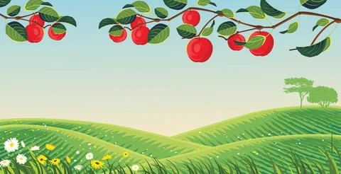 Vector background of apple orchard Stock Illustration