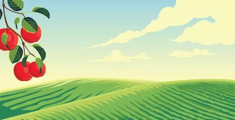 Vector background of apple orchard Stock Illustration