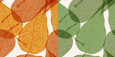 Vector background with autumn and spring leaves Stock Illustration