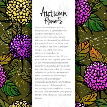 Vector background with autumn chrysanthemums Stock Illustration