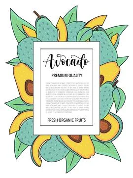 Vector background with avocado, whole and pieces - Card design with fruits Stock Illustration