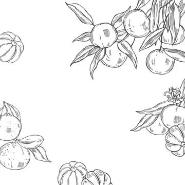 Vector  background with background Stock Illustration