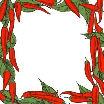 Vector background  with  chili peppers. Stock Illustration