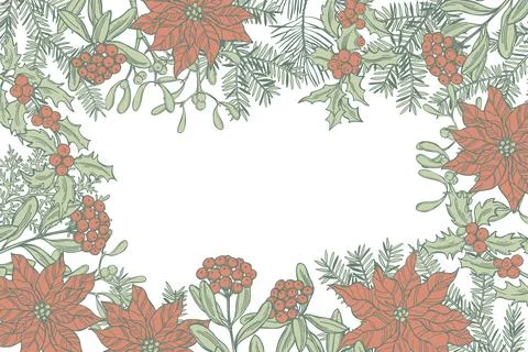 Vector background with Christmas plants . Illustrazione stock