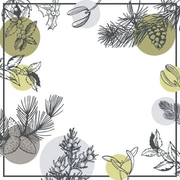 Vector background with Christmas plants. Illustrazione stock