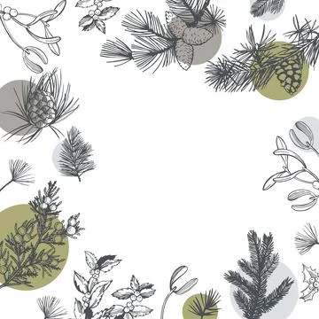 Vector background with Christmas plants. Stock Illustration