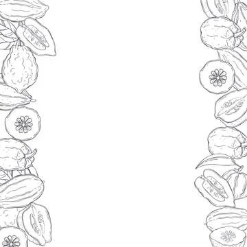 Vector background with citron Stock Illustration