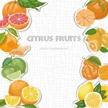 Vector background with citrus fruits Stock Illustration