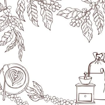 Vector background with   coffee  plants and beans. Stock Illustration