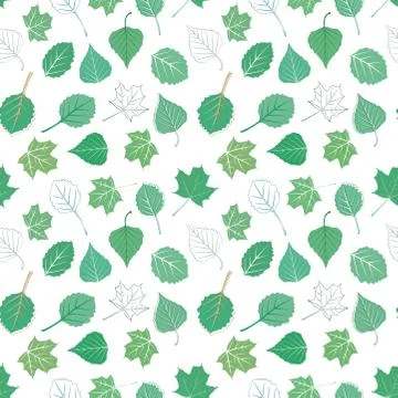 Vector background consisting of different leaves of a tree Stock Illustration