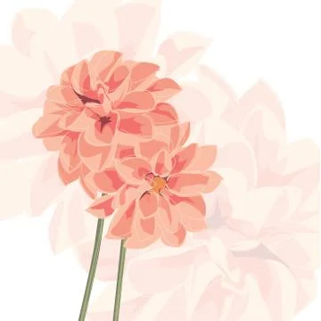 Vector background with flower Stock Illustration