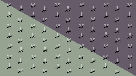 Vector Background of Flying Insects Stock Footage 90538219