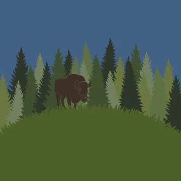 Vector background with forest, grass and bison. Stock Illustration