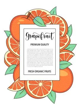 Vector background with grapefruit, whole and pieces - Card design with fruits Stock Illustration
