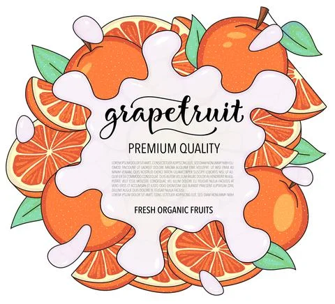 Vector background with Grapefruit. Whole and pieces - Splash of water or milk Stock Illustration