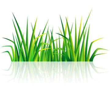 Vector background with green grass Stock Illustration