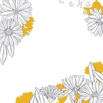 Vector background with hand drawn calendula. Stock Illustration