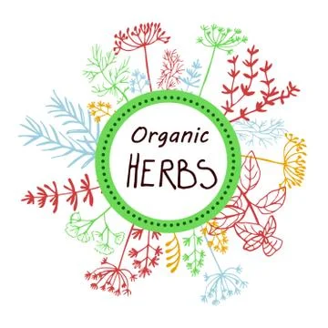 Vector background hand drawn herbs and spices. Illustrazione stock