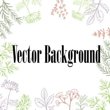 Vector background hand drawn herbs and spices. イラスト素材