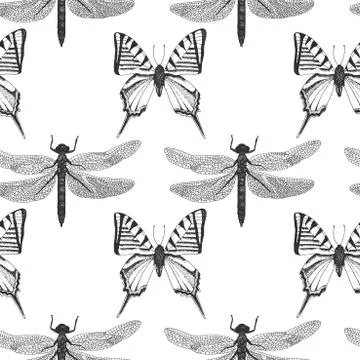 Vector background with hand drawn insect illustrations Stock Illustration