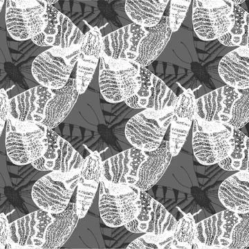 Vector background with hand drawn insect illustrations. Stock Illustration