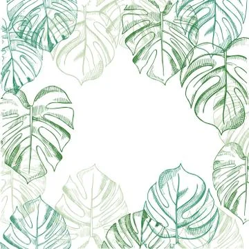 Vector background  with hand drawn tropical plants. Stock Illustration