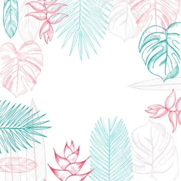 Vector background  with hand drawn tropical plants. Leaves and flowers. Stock Illustration