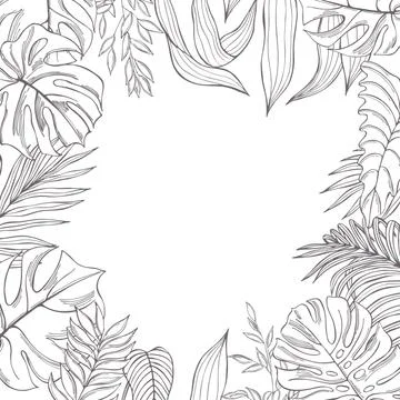 Vector background  with  hand drawn tropical plants. Stock Illustration