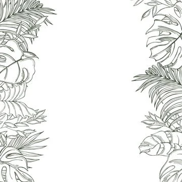 Vector background  with  hand drawn tropical plants. Stock Illustration