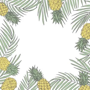 Vector background  with  hand drawn tropical plants. Stock Illustration