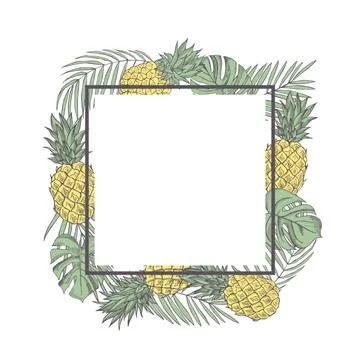 Vector background  with  hand drawn tropical plants. Stock Illustration