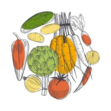 Vector background with  hand drawn vegetables. Sketch  illustration Stock Illustration