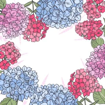 Vector background with hydrangeas and phloxes. Stock Illustration