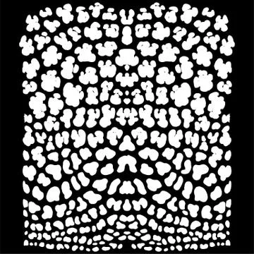 Vector background of leopard skin pattern 스톡 일러스트