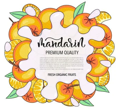 Vector background with mandarin, whole and pieces - Splash of water or milk Stock Illustration