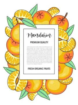 Vector background with mandarin, whole and pieces - Vector stock illustration Illustrazione stock