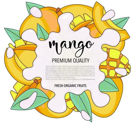 Vector background with mango, whole and pieces - Splash of water or milk Stock Illustration