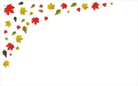 Vector background with maple, oak and birch falling autumn leaves. 스톡 일러스트