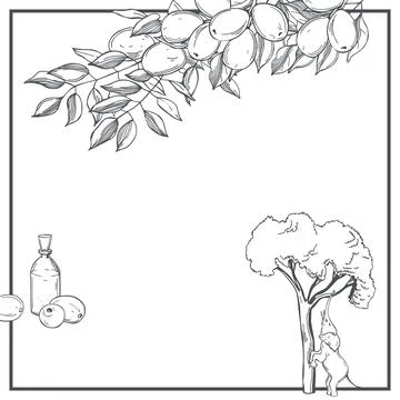 Vector background with marula. Stock Illustration