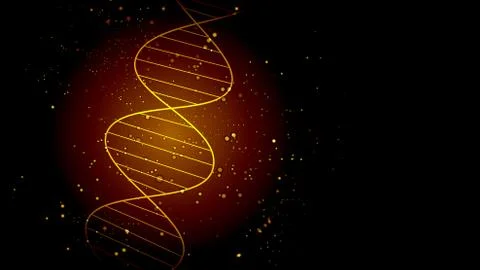 Vector background from the molecular structure of the DNA molecule. EPS 10. Stock Illustration
