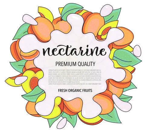 Vector background with nectarine, whole and pieces - Splash of water or milk Stock Illustration