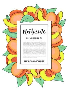 Vector background with nectarine, whole and pieces - Card design with fruits Stock Illustration