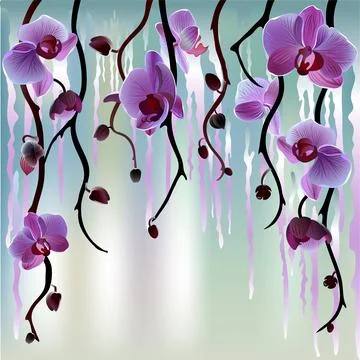 Vector background with orchids Stock Illustration