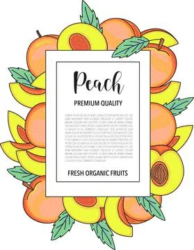 Vector background with peach, whole and pieces - Card design with fruits Stock Illustration