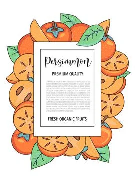 Vector background with persimmon, whole and pieces - Card design with fruits Stock-Illustration