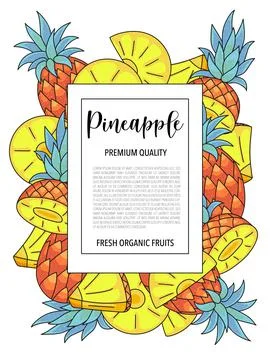 Vector background with pineapple, whole and pieces - Card design with fruits Stock Illustration