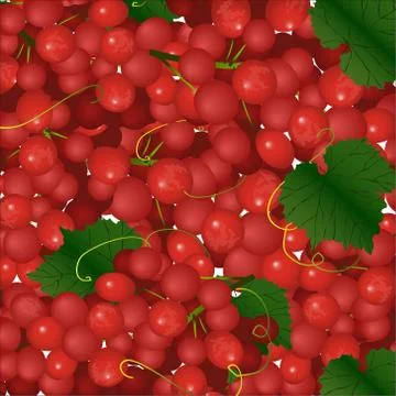 Vector background of pink bunches of grapes Stock Illustration