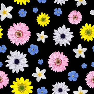 Vector Background pink with flower. Seamless simple floral pattern on a black Stockillustratie